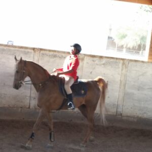 RJ's riding lesson in Scottsdale, AZ