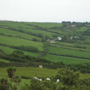 Devon 3